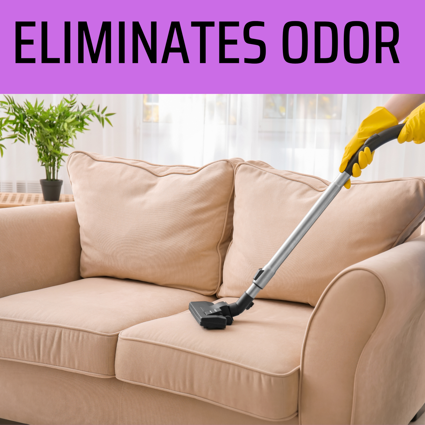 Zombie Brains Gushing Grapes Carpet Freshener 2LB Bag