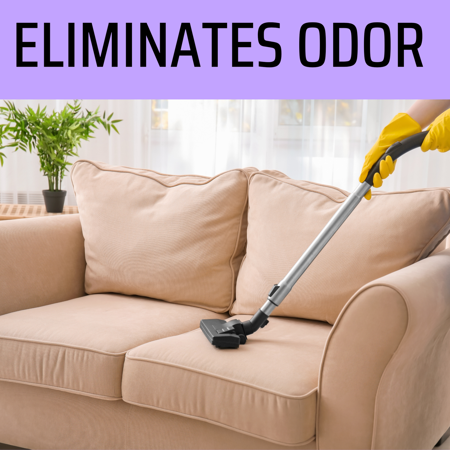 Dragons Blood Carpet Freshener | 18oz Sprinkle Jar | Odor Eliminator Powder