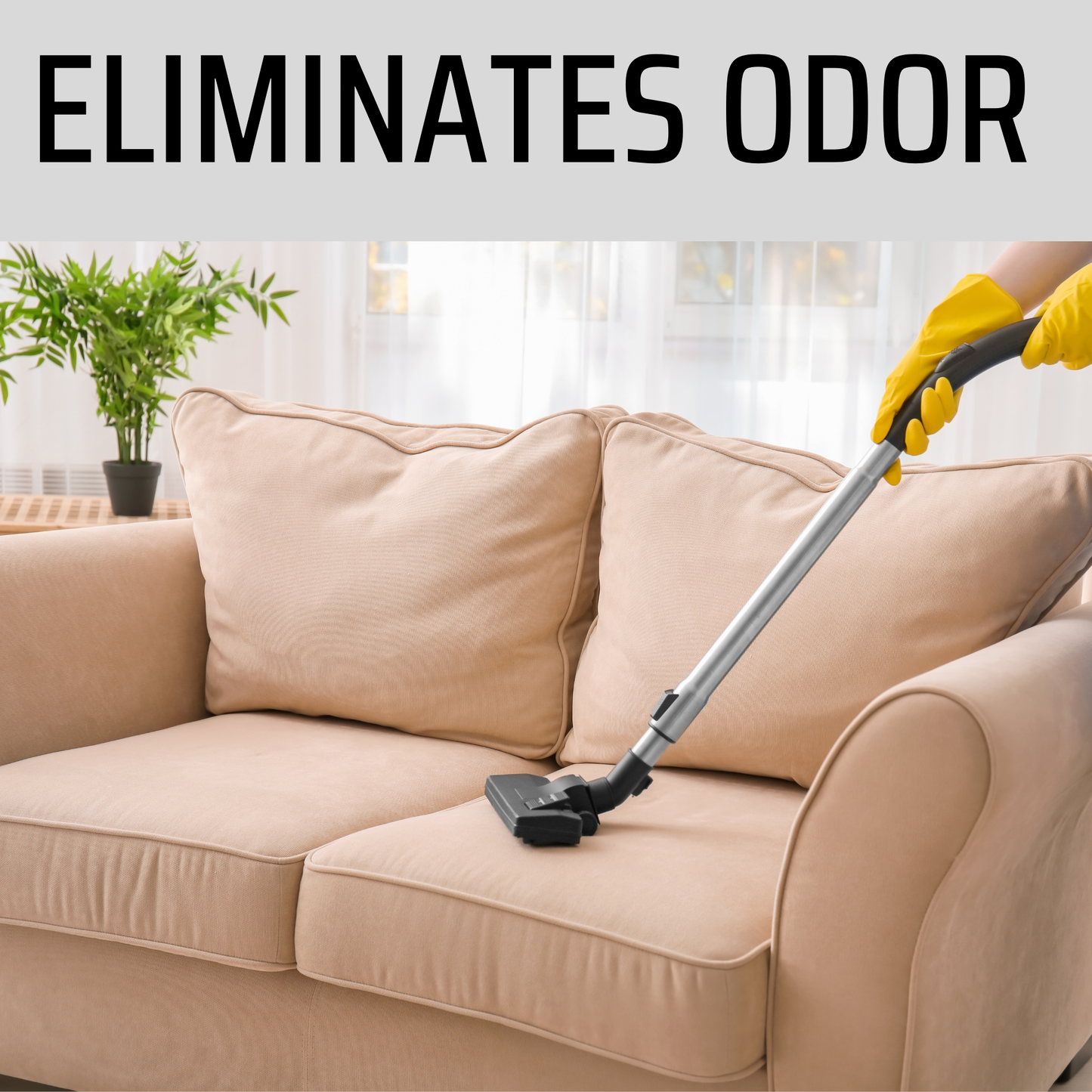 After Dark Carpet Freshener | 18oz Sprinkle Jar | Odor Eliminator Powder