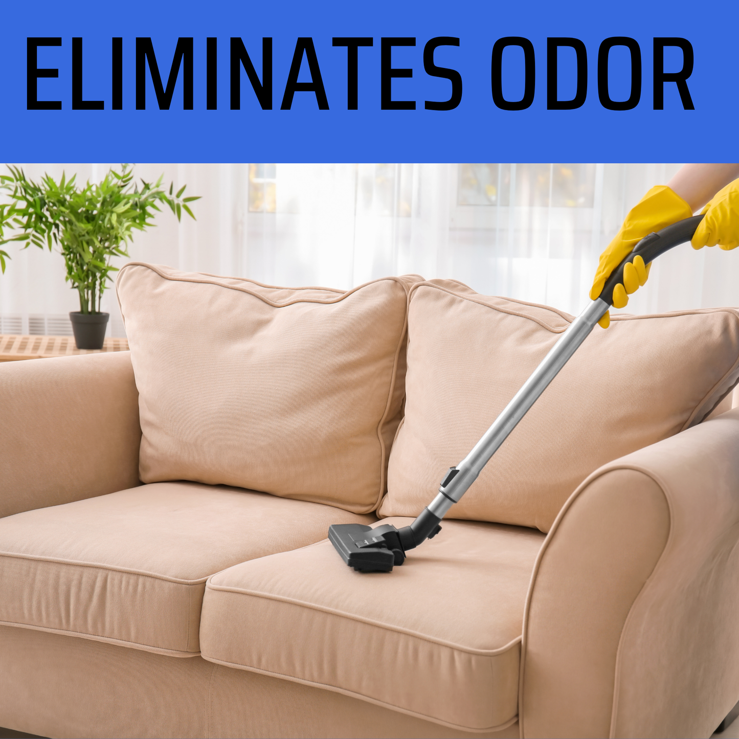 Winter Apple Carpet Freshener | 18 oz Sprinkle Jar | Odor Eliminator Powder